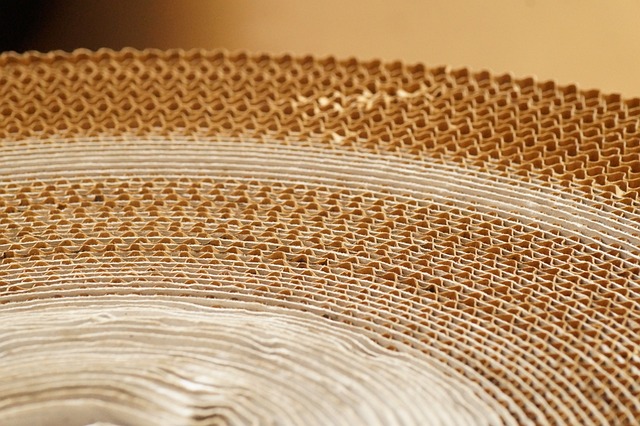 Corrugated Box Manufacturing